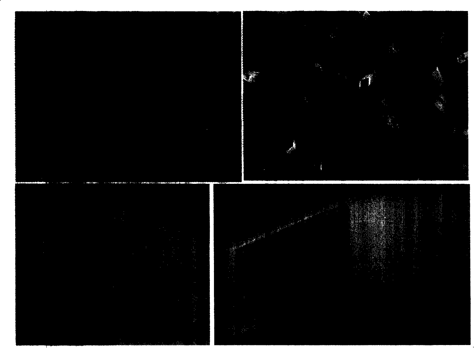 Method for preparing organic compound single-crystal nano structure