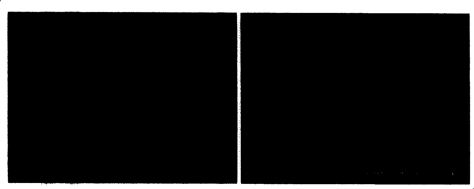 Method for preparing organic compound single-crystal nano structure