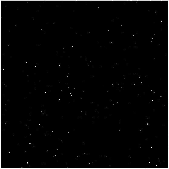 Method for preparing mesenchymal stem cell