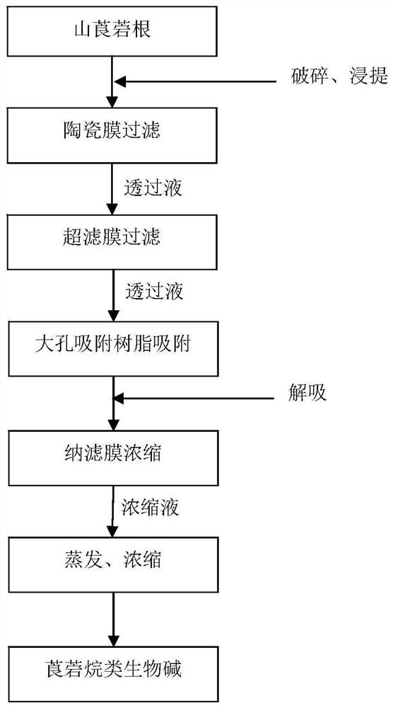 A kind of extraction process of tropane alkaloids