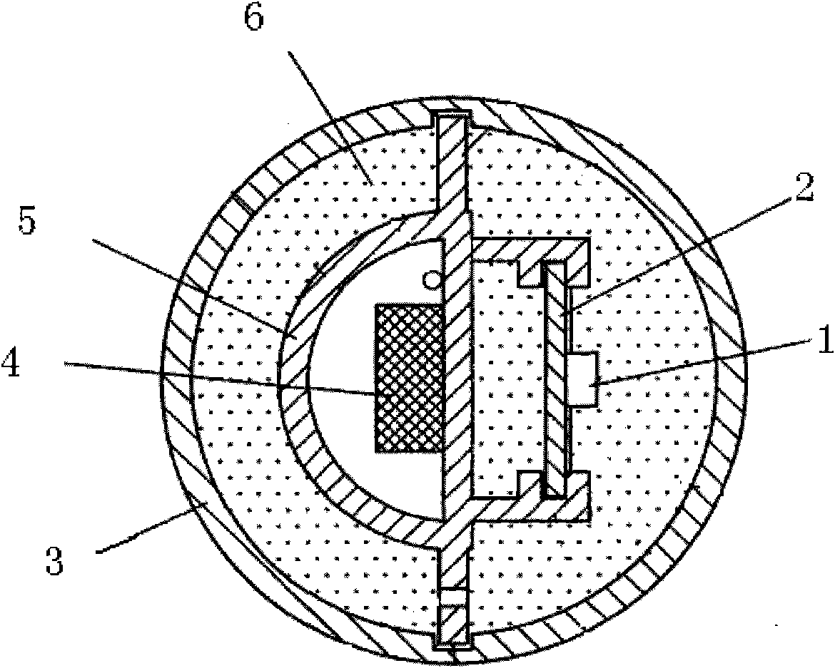 Hollow liquid-cooled light-emitting diode (LED) lamp