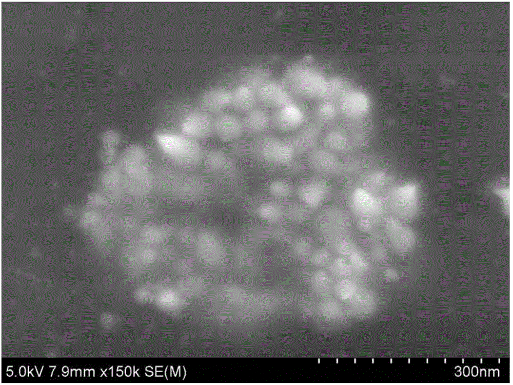 Nanometer-silver lipidosome and preparing method and application thereof