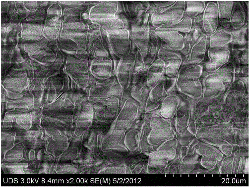 Nanometer-silver lipidosome and preparing method and application thereof