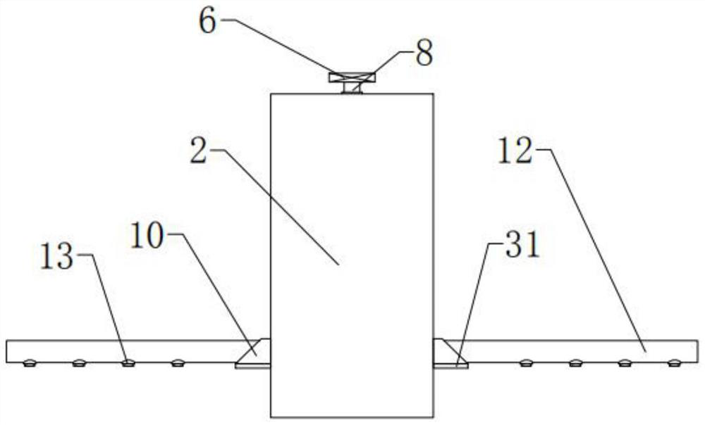 Pesticide spraying device for pest control