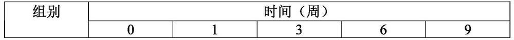 Application of loaded sodium calcium phosphosilicate in the preparation of medicaments for the treatment of skin and mucous membrane damage