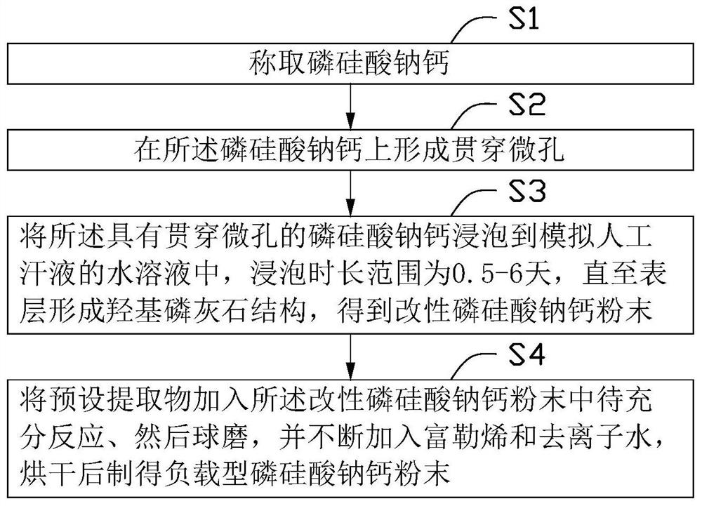 Application of loaded sodium calcium phosphosilicate in the preparation of medicaments for the treatment of skin and mucous membrane damage