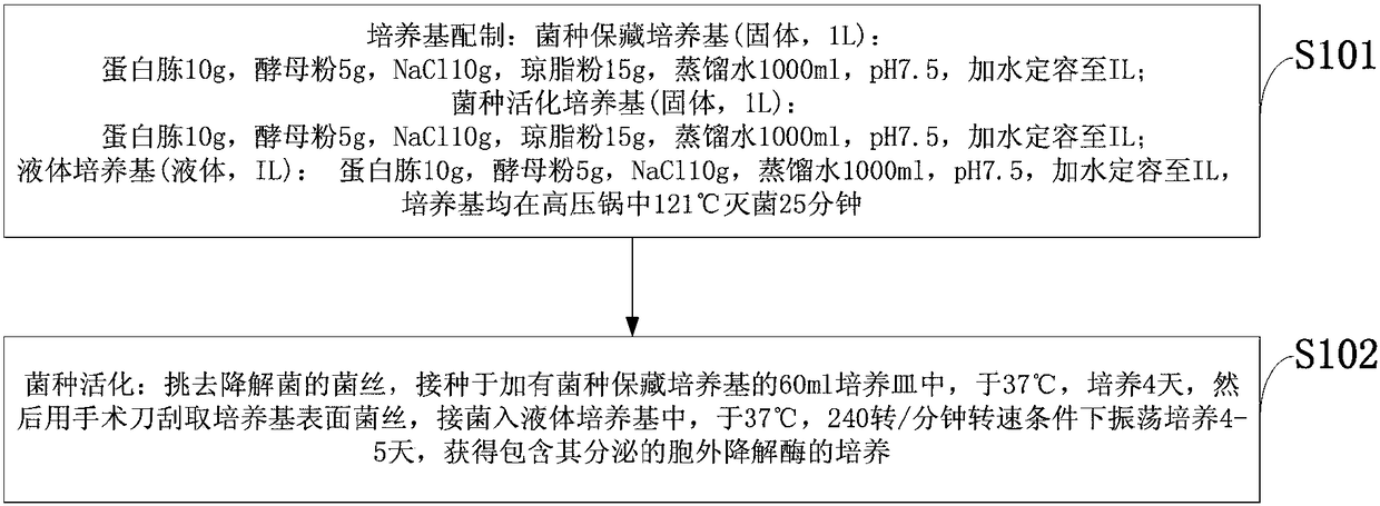 A kind of Pseudomonas aeruginosa bacterial strain and application thereof