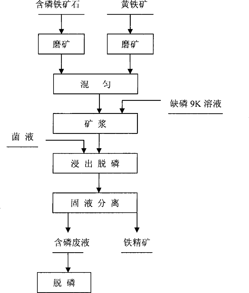 Dephosphorization method of phosphorus-containing iron ore