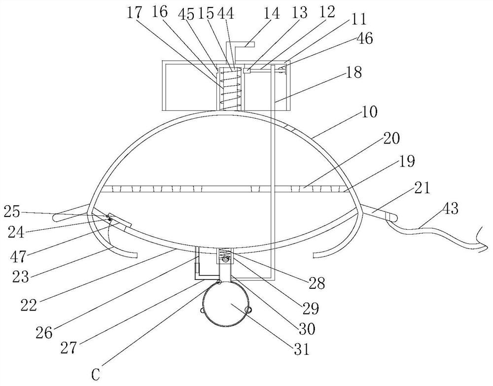 Silver carp and bighead carp trapping device for reservoir farmhouses