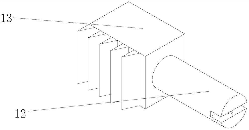 Silver carp and bighead carp trapping device for reservoir farmhouses