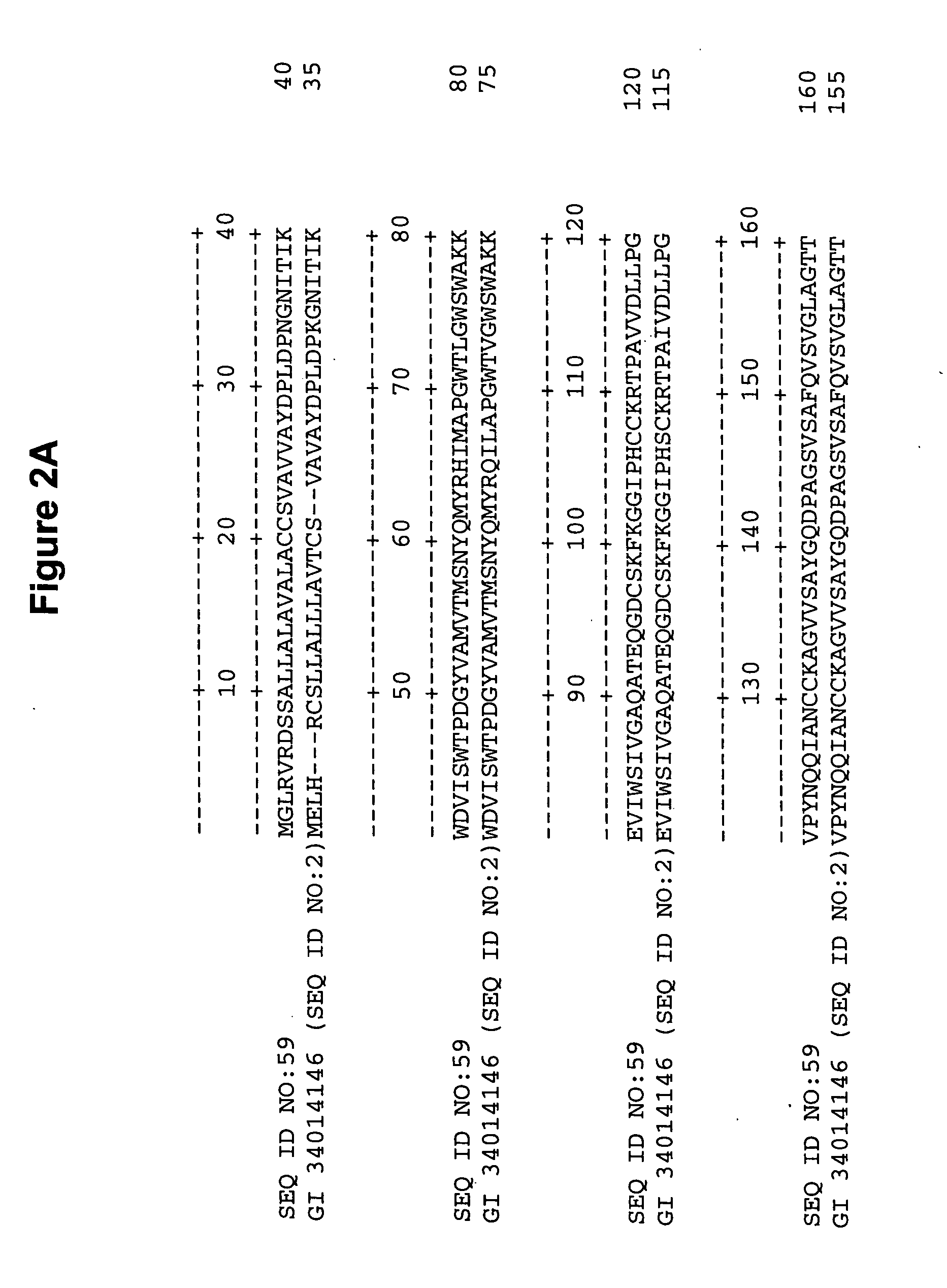 Brittle stalk 2 polynucleotides, polypeptides and uses thereof