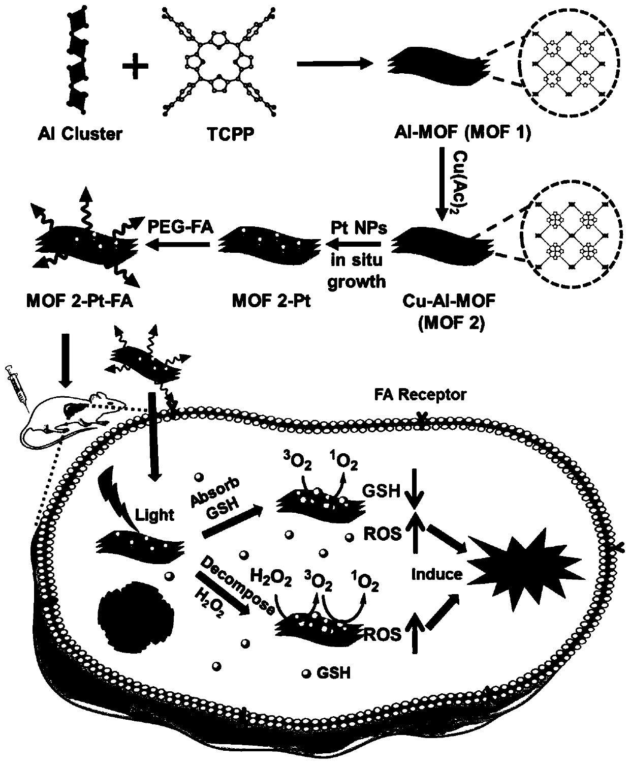 Synthesis of platinum-modified MOF 2-Pt-FA as two-way enhanced photodynamic therapy drug, and application of platinum-modified MOF 2-Pt-FA in tumor treatment