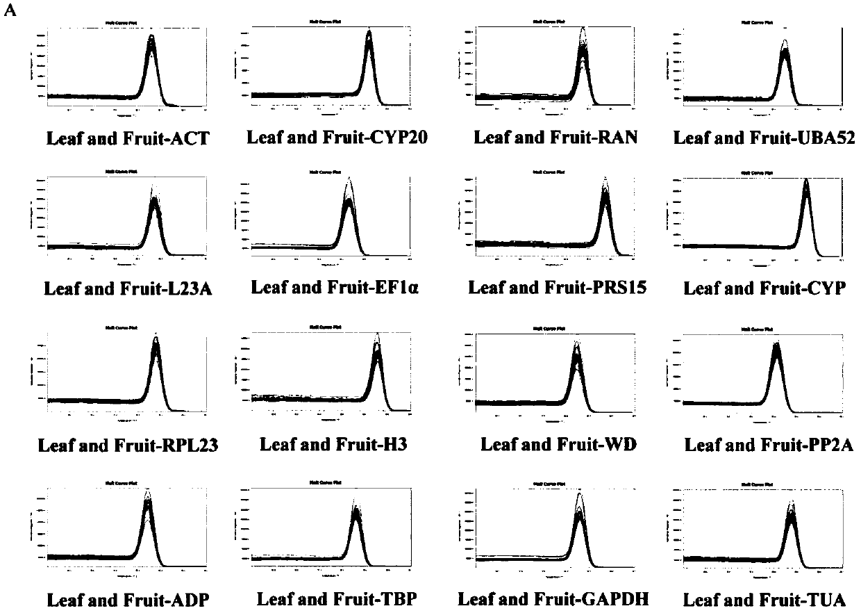 Applications of LsWD taken as reference gene in lagenaria siceraria var.hispida analysis under infection of cucumber green mottle mosaic virus