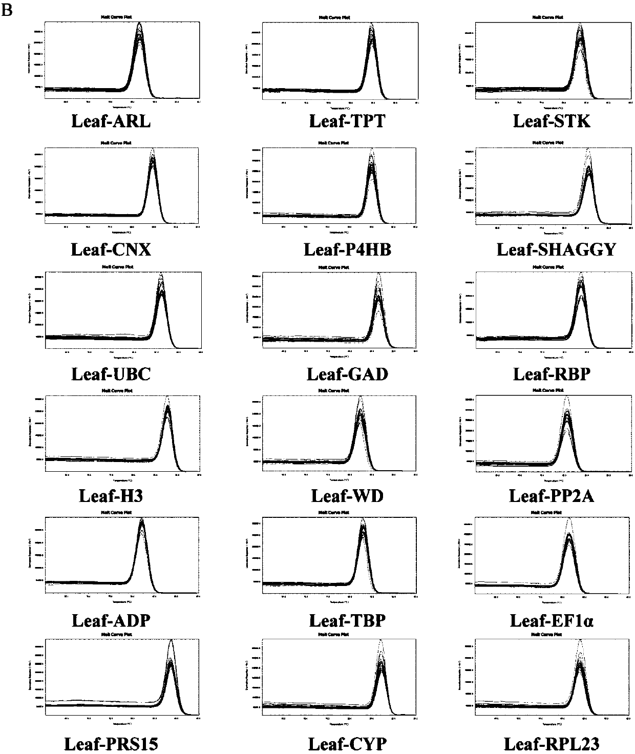 Applications of LsWD taken as reference gene in lagenaria siceraria var.hispida analysis under infection of cucumber green mottle mosaic virus