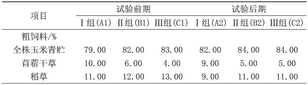 Daily ration for rapidly fattening Angus bulls and preparation method thereof