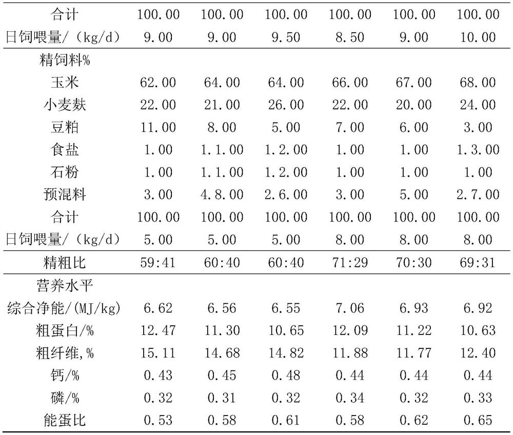 Daily ration for rapidly fattening Angus bulls and preparation method thereof