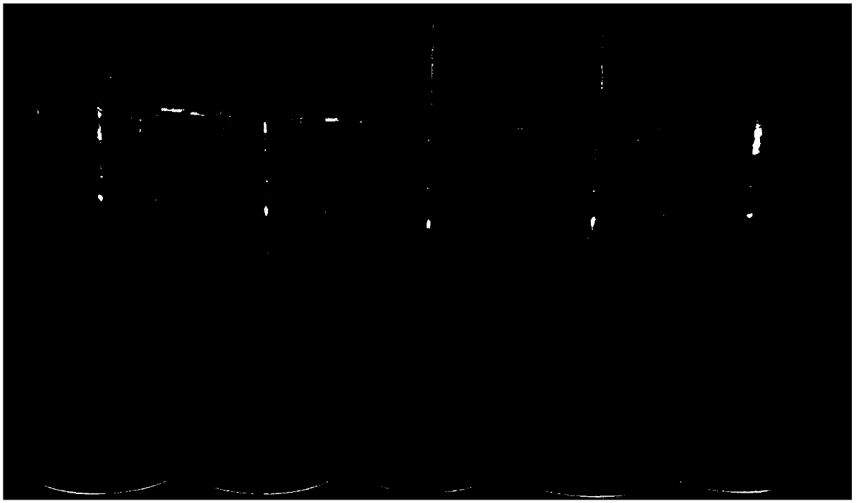 Copper nano-cluster sweat latent fingerprint developing reagent preparation method and sweat latent fingerprint developing method