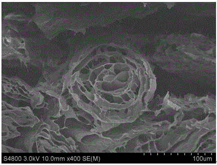 Preparation method for flexible and bendable aluminum ion battery