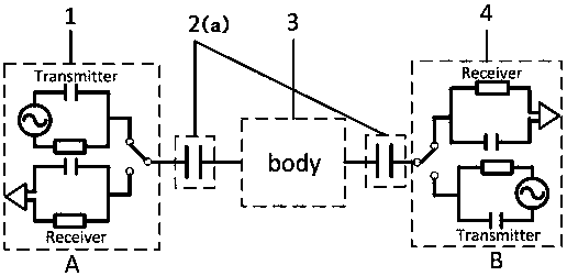 A field-circuit combined capacitive human body channel modeling method for wearable devices