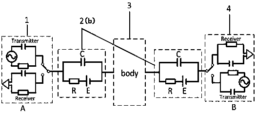 A field-circuit combined capacitive human body channel modeling method for wearable devices