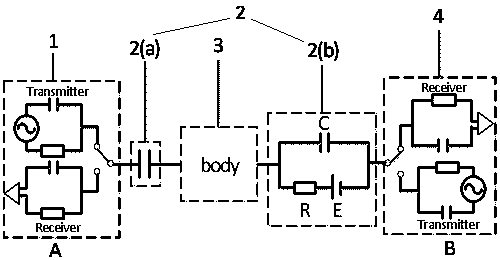 A field-circuit combined capacitive human body channel modeling method for wearable devices