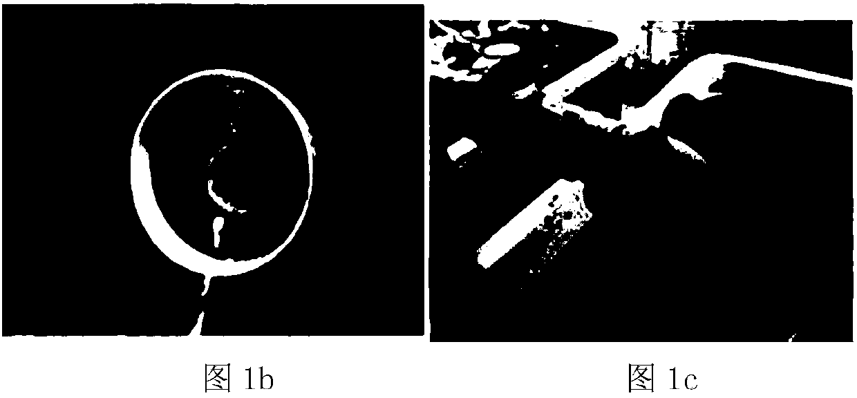 Industrialized efficient breeding method for freshwater shrimps