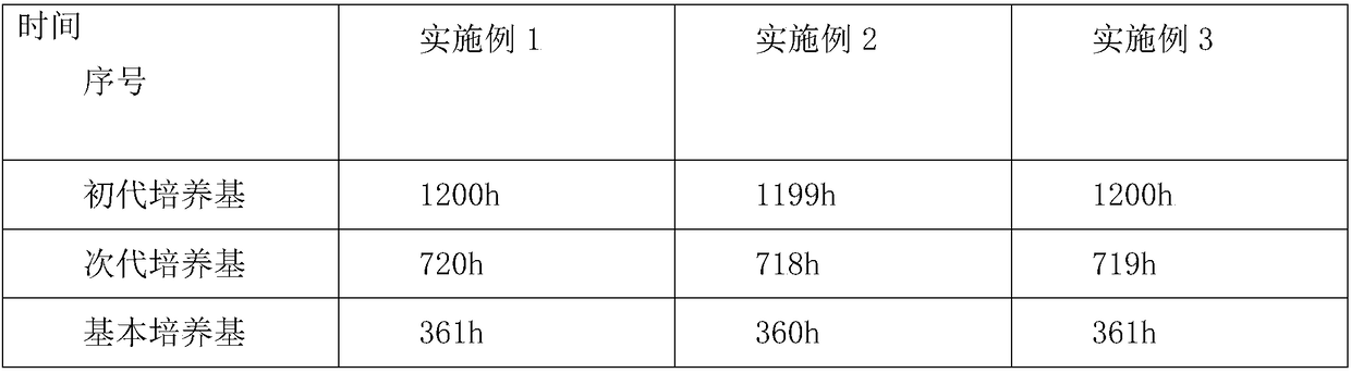 Method for rapid propagation and detoxifying of stem tips of fragrant pomelo