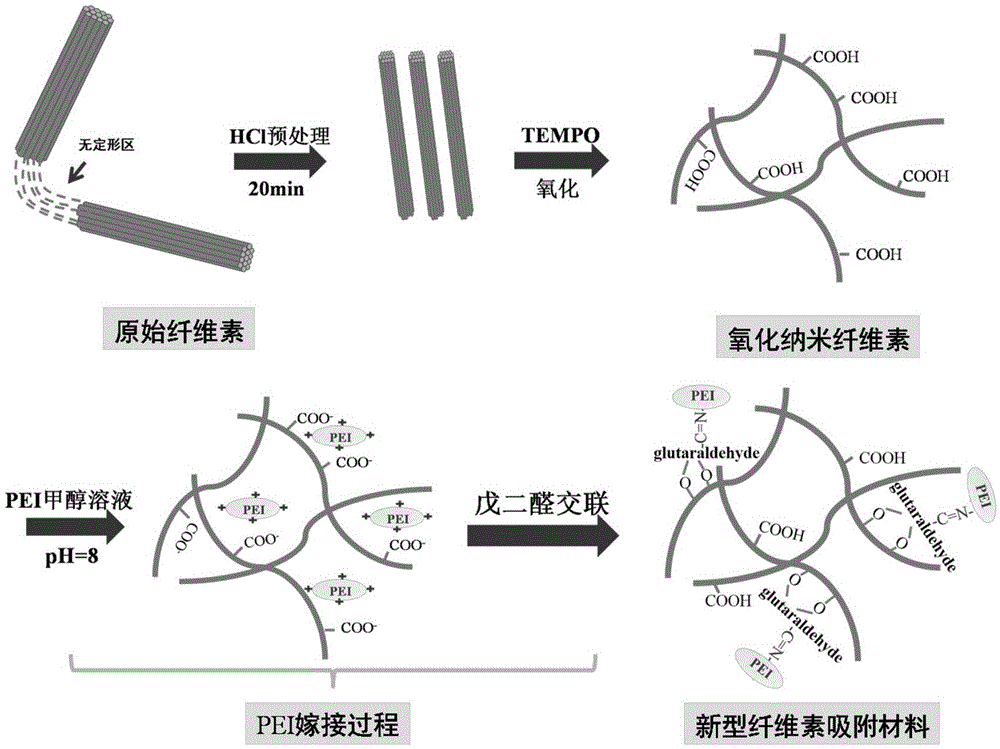 Oxidation nanocellulose adsorbing material and preparation method thereof