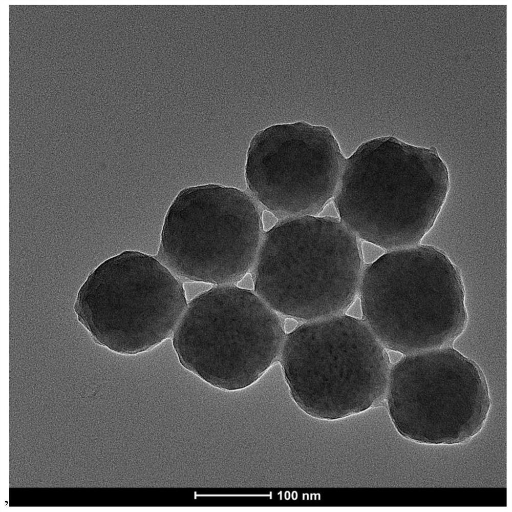 A drug-loaded Prussian blue analogue nano-photothermal therapeutic agent conjugated with sodium nitroprusside and preparation method thereof