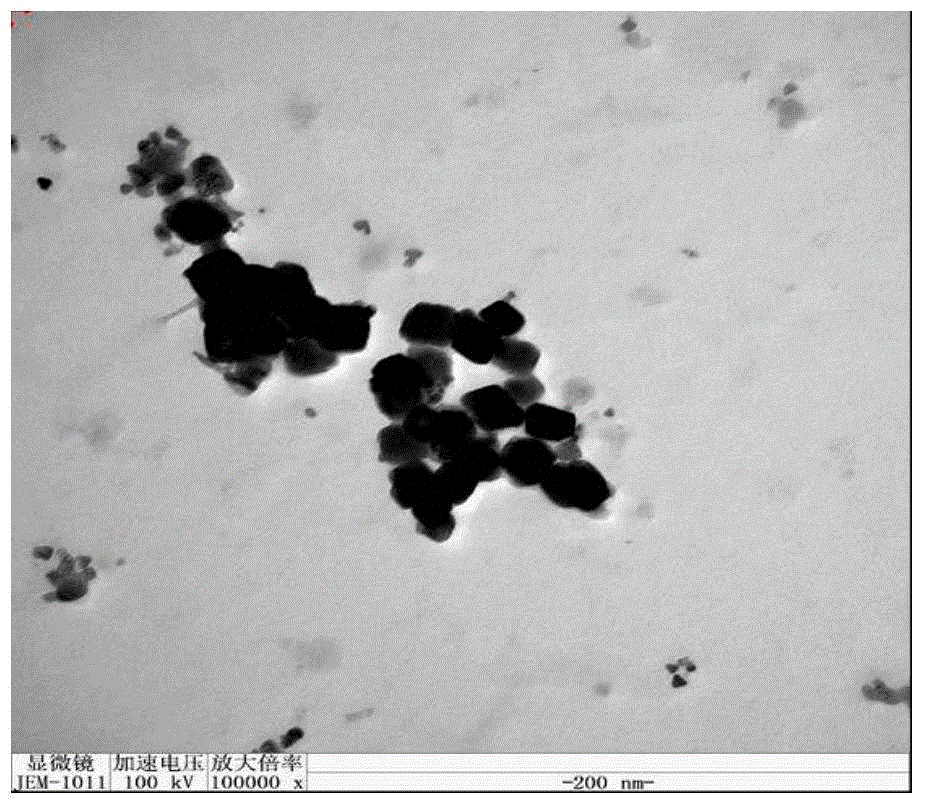 Nanocellulose/sulfonated polyaryletherketone composite film as well as preparation method and application of nanocellulose/sulfonated polyaryletherketone composite film