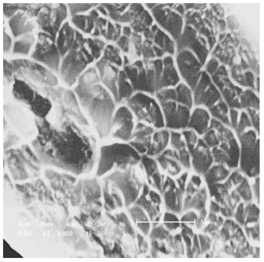 Nanocellulose/sulfonated polyaryletherketone composite film as well as preparation method and application of nanocellulose/sulfonated polyaryletherketone composite film