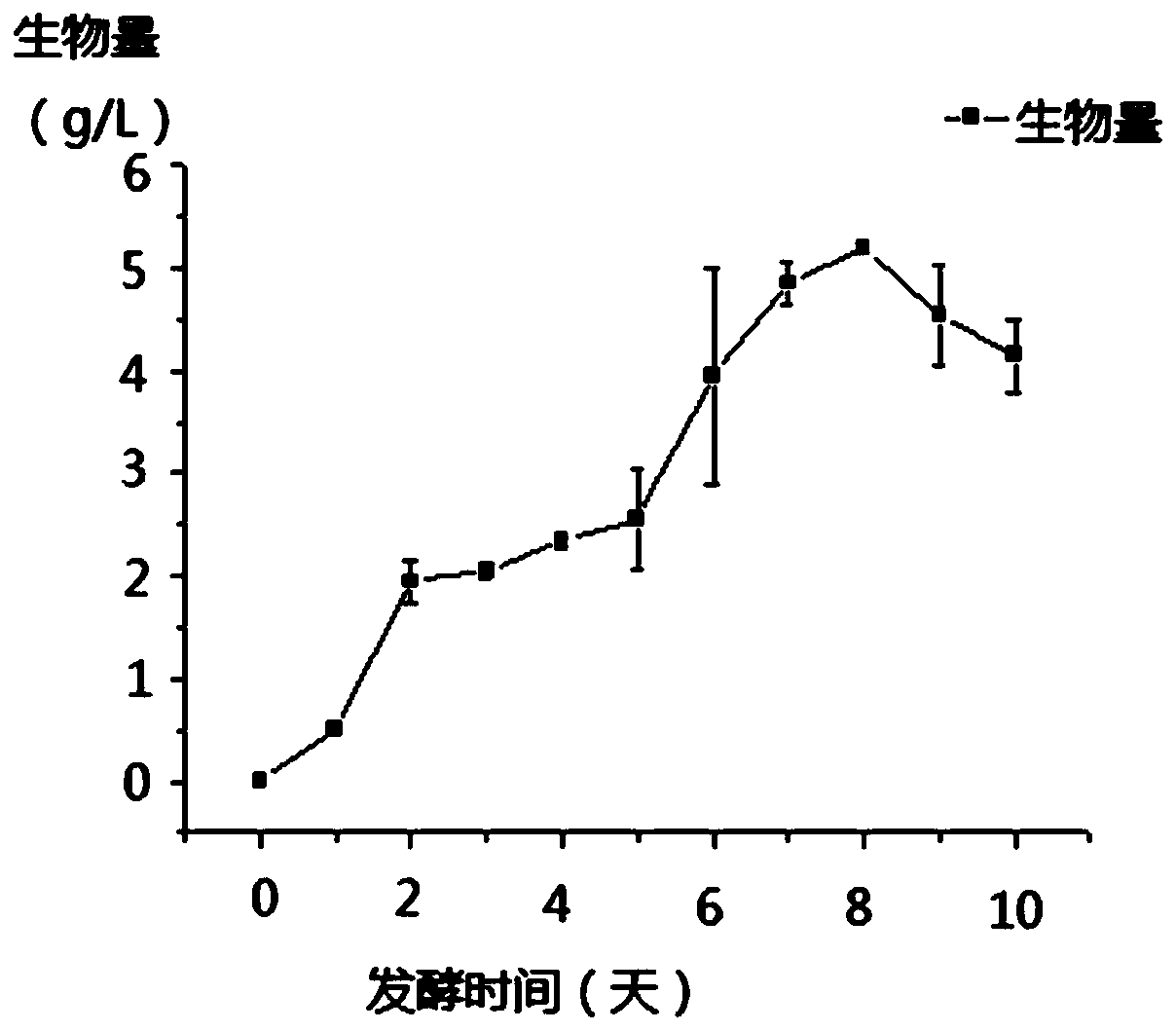 A kind of red yeast rice strain and its application