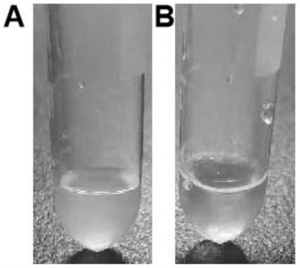 Peptide-containing water-soluble solution and application