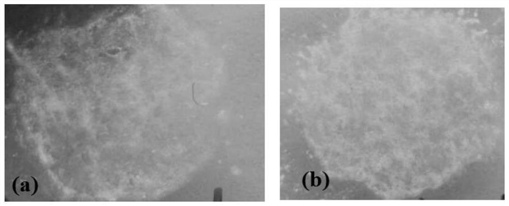 Drug coating solution used for drug-coated balloon and drug-coated balloon