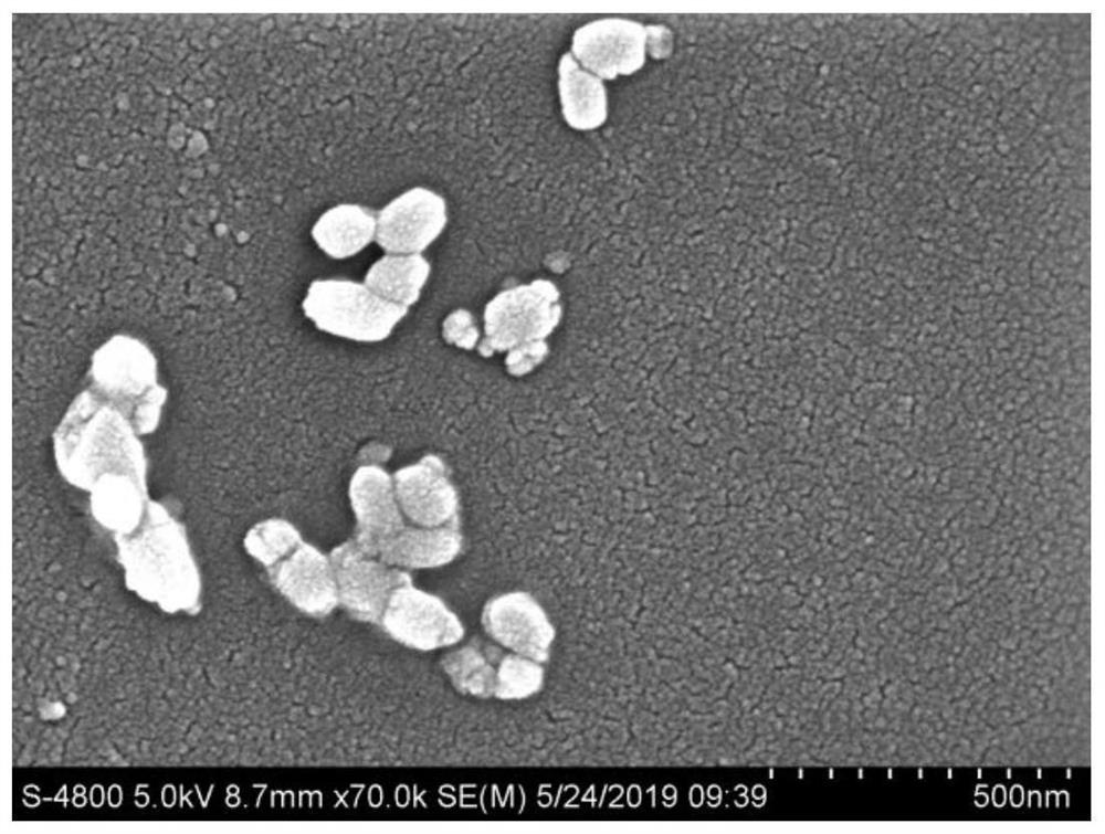 Drug coating solution used for drug-coated balloon and drug-coated balloon