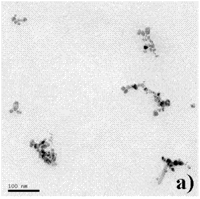 Method for preparing graphene magnetic nanometer composite materials