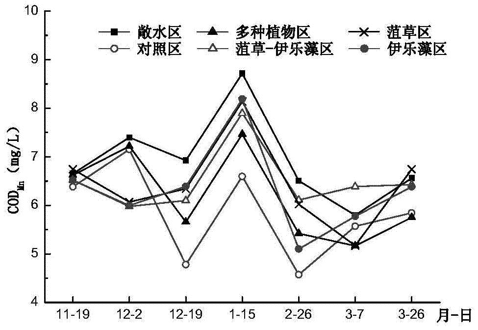 Method for reconstructing submerged plant communities of lakeside wetland and controlling water quality purification