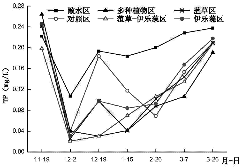 Method for reconstructing submerged plant communities of lakeside wetland and controlling water quality purification