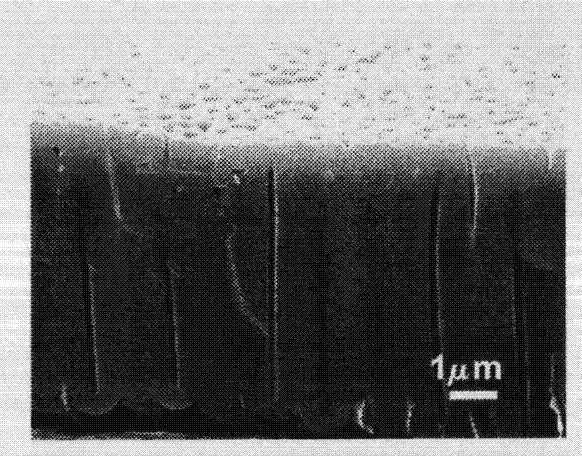 Method for preparing overlarge crystal-cell porous pellumina