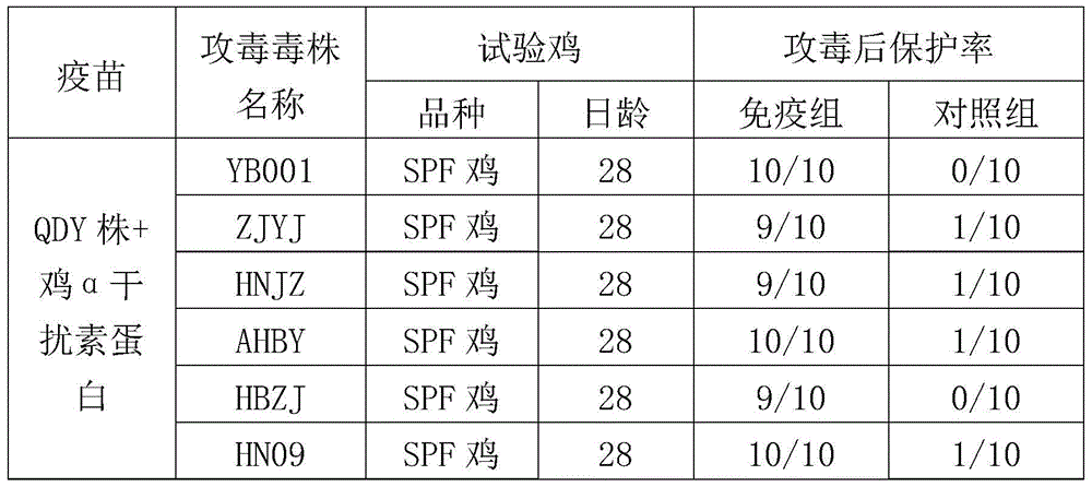 A kind of chicken Newcastle disease and h9 subtype avian influenza double combination vaccine