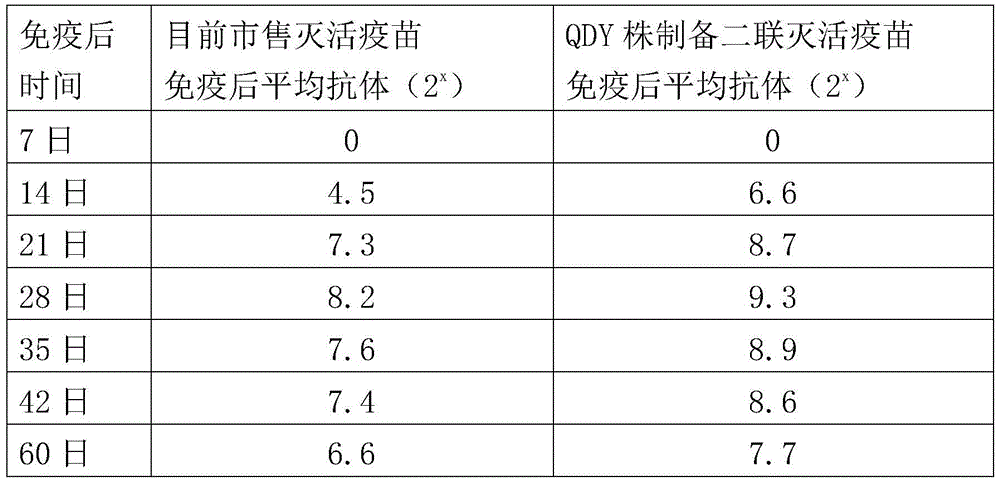 A kind of chicken Newcastle disease and h9 subtype avian influenza double combination vaccine