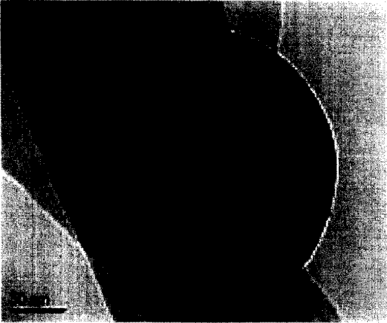 Process for preparing coated ZrB2 composite powder