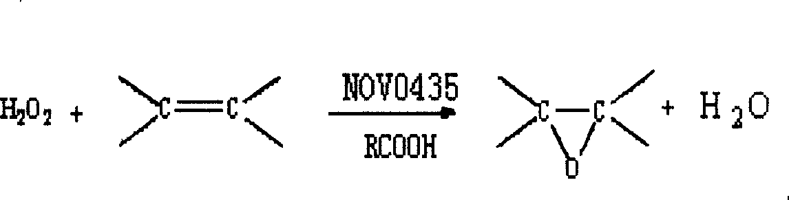 Method for preparing epoxy flax oil by catalytic oxidation of lipase