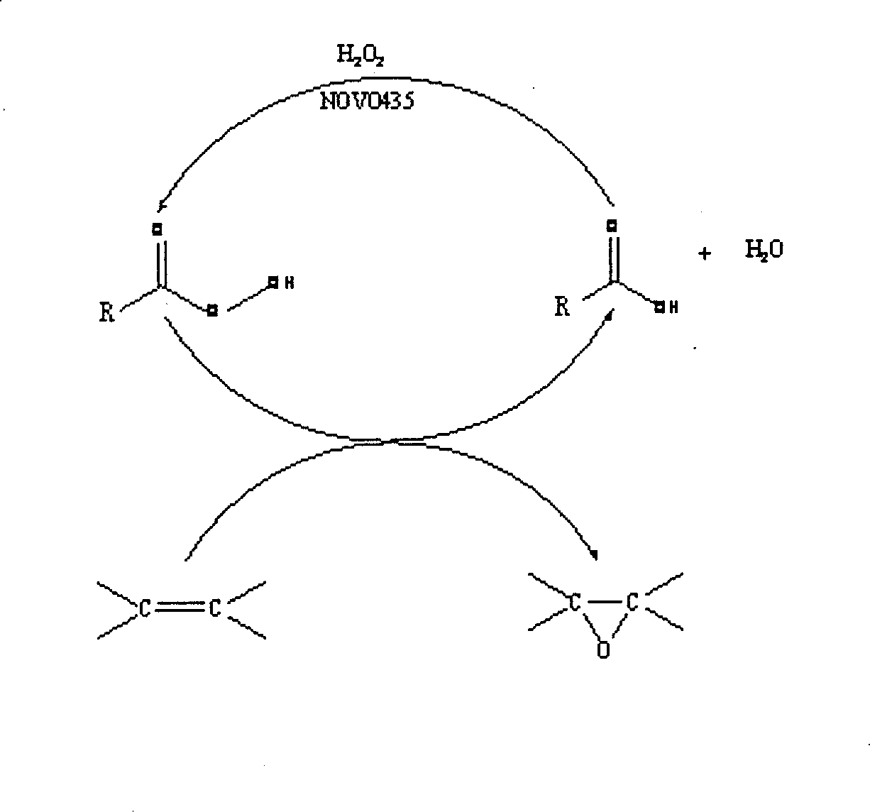 Method for preparing epoxy flax oil by catalytic oxidation of lipase