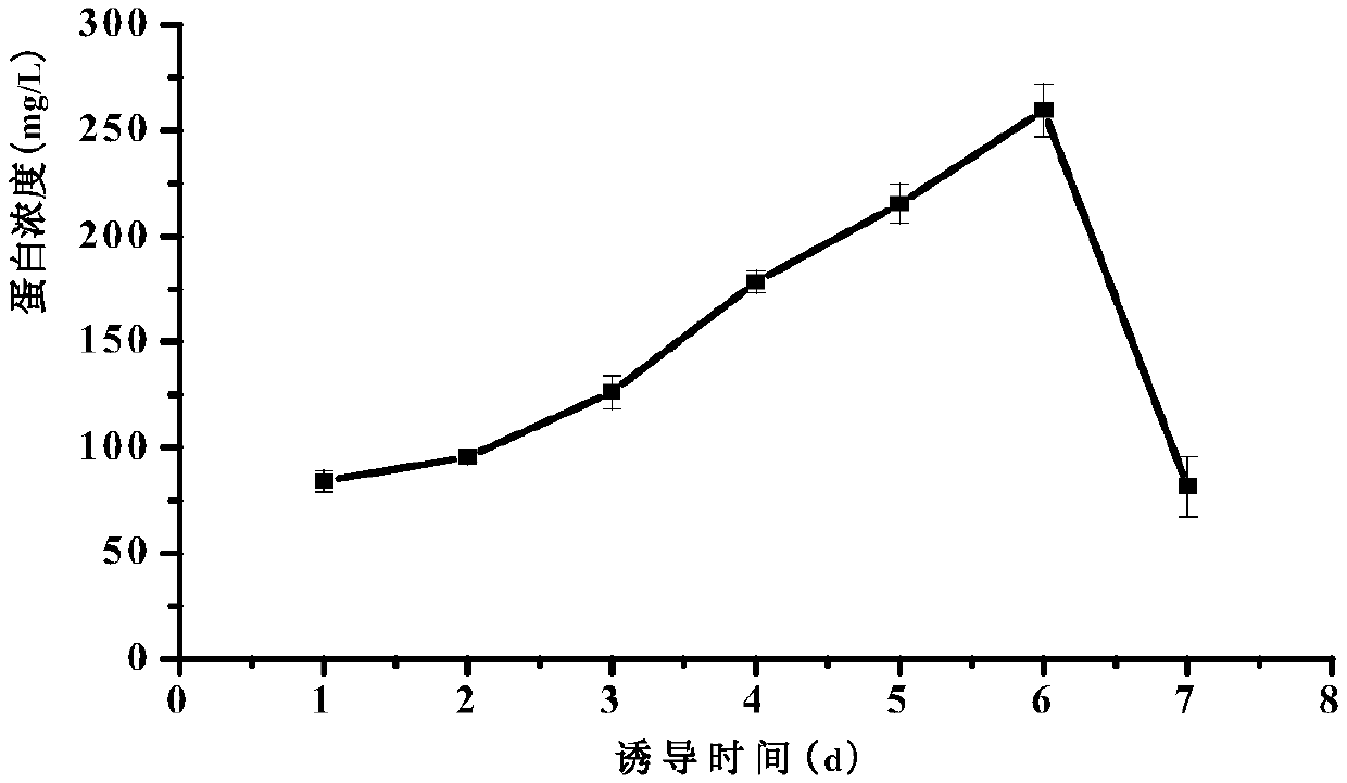 Preparation method and application of carboxypeptidase A with function of degrading ochratoxin A