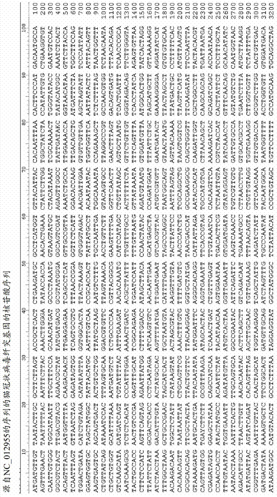 Means and methods for distinguishing FECV and FIPV