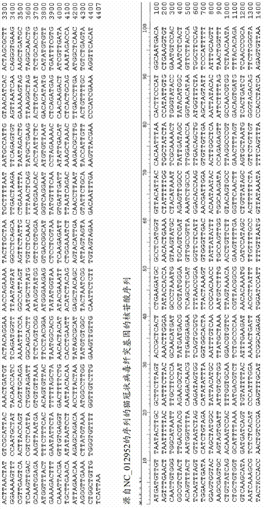 Means and methods for distinguishing FECV and FIPV