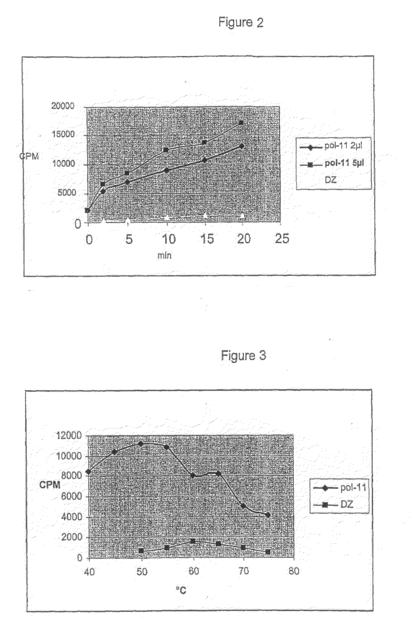 Dna Polymerases Having Strand Displacement Activity