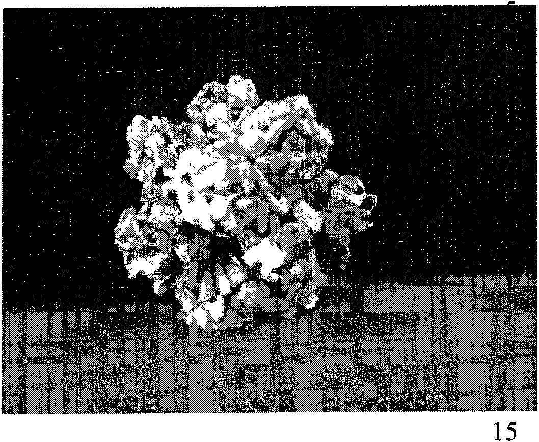 Sludge decrement type biomembrane piled ball packing, preparation method and application