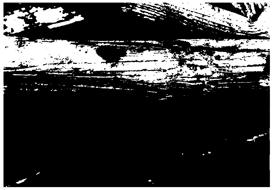 Selective culture medium for separating Fusarium graminearum species complex from air